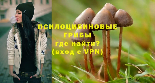 прущая мука Касимов