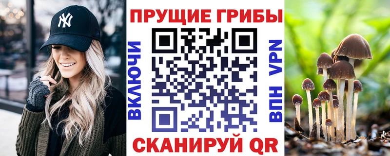 Купить  Заводоуковск  Галлюциногенные грибы Magic Shrooms 