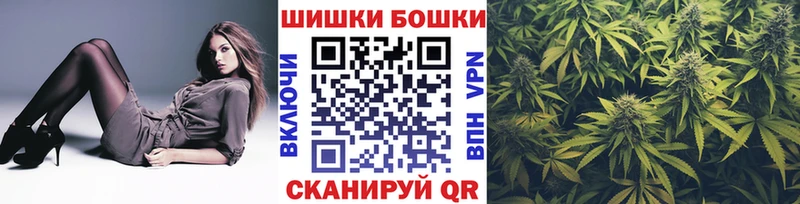 Купить где  Заводоуковск  Каннабис индика 